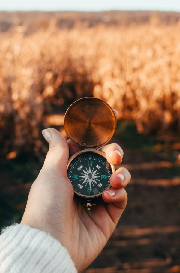 Marta_Klimek_Audyt_Kompas